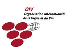  国际葡萄和葡萄酒组织 