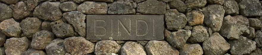 澳大利亚宾迪葡萄园(Bindi Vineyard)