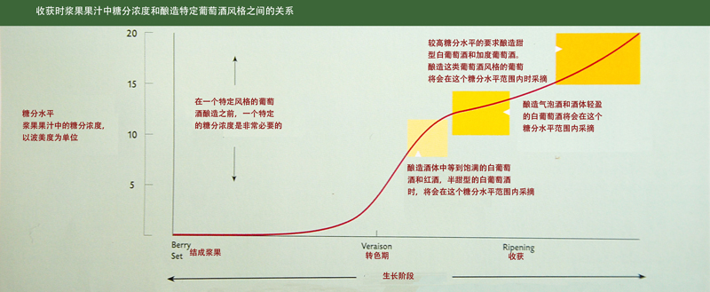 收获时浆果果汁中糖分浓度和酿造特定葡萄酒风格之间的关系