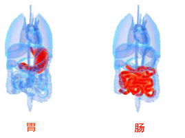 酒是如何伤身的